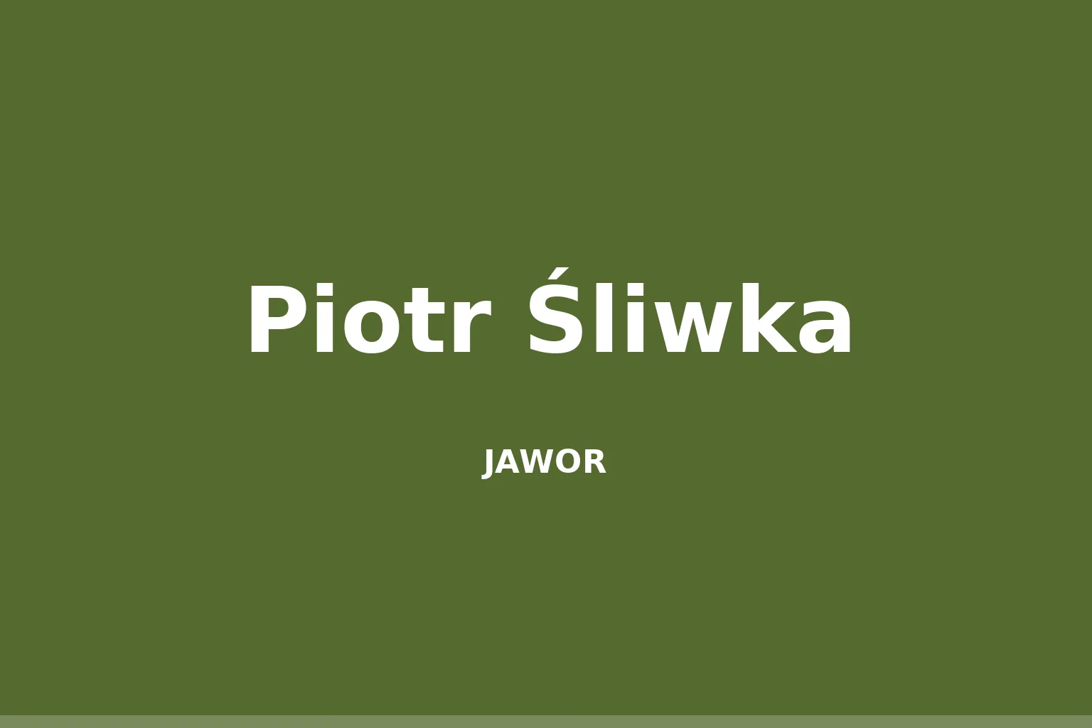 Piotr Śliwka (siatkarz)